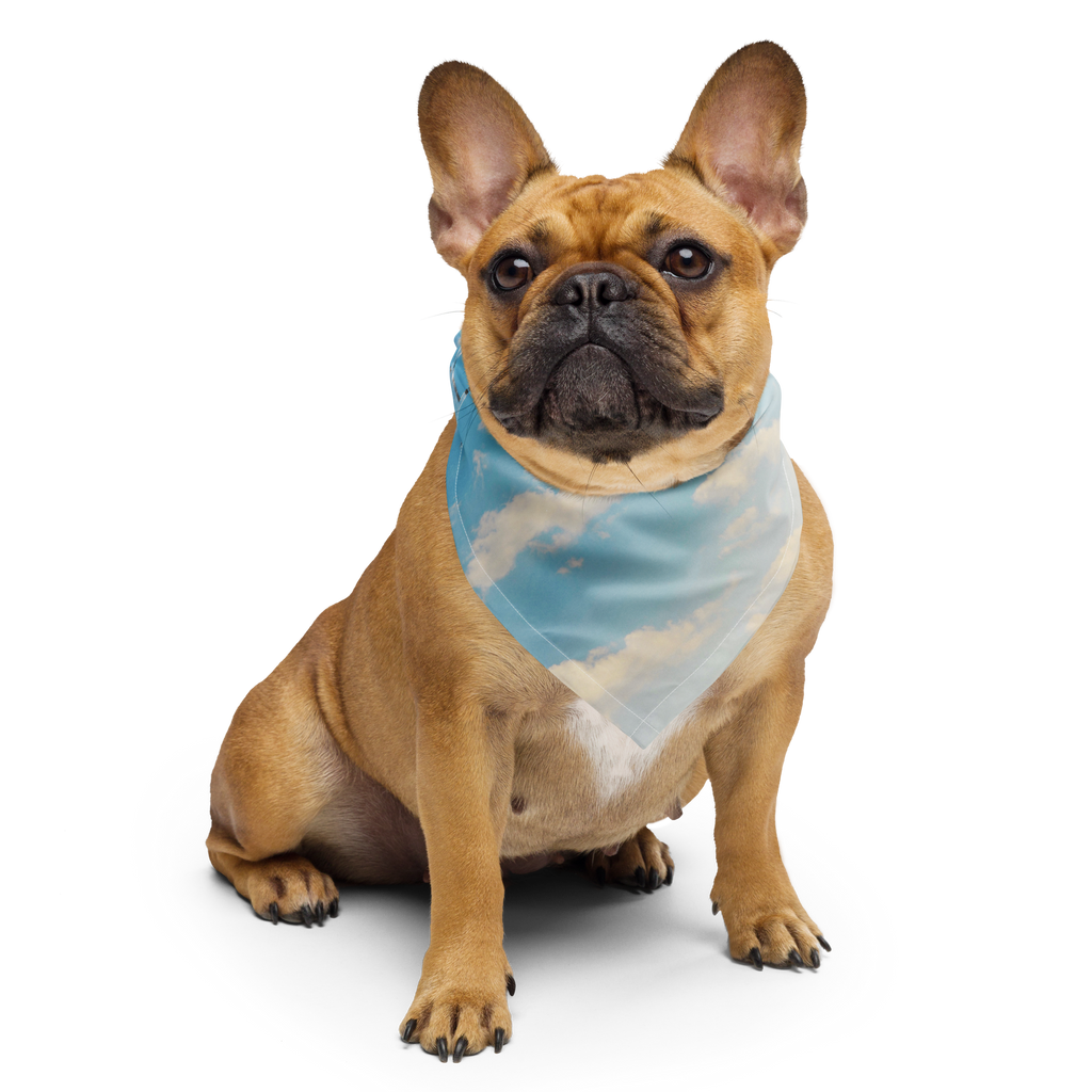 'MOMENTS' BANDANA